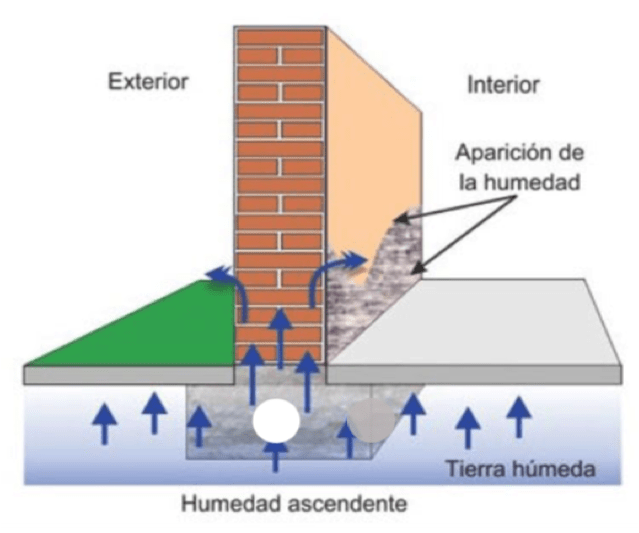 Cómo Quitar las Humedades de las Paredes