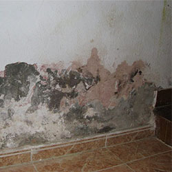 Cómo Quitar las Humedades de las Paredes