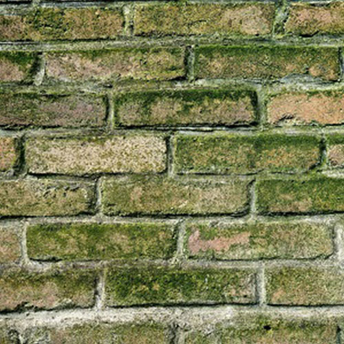 Humedades en Marbella